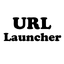 Preview of Roblox URL Launcher