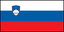 Xem trước Slovar za slovenski jezik