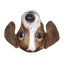 FrankerFaceZ