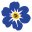 Forget Me Not - Forget cookies & other data